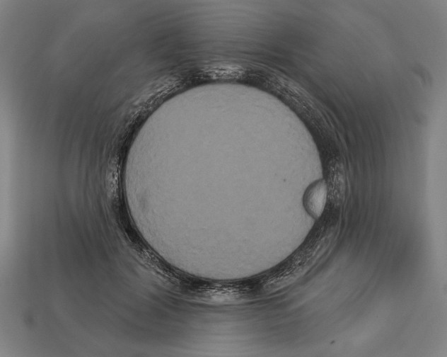 X0000113060604200909250910