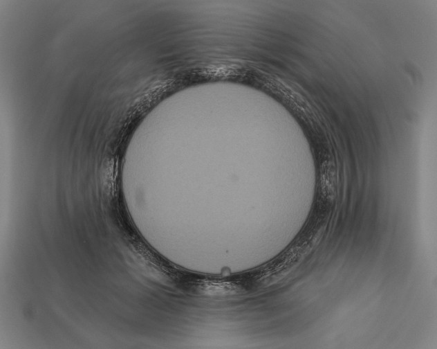 X0000113060605200909250910