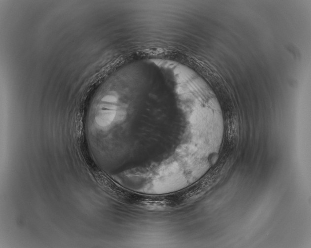 X0000113060606200909250910