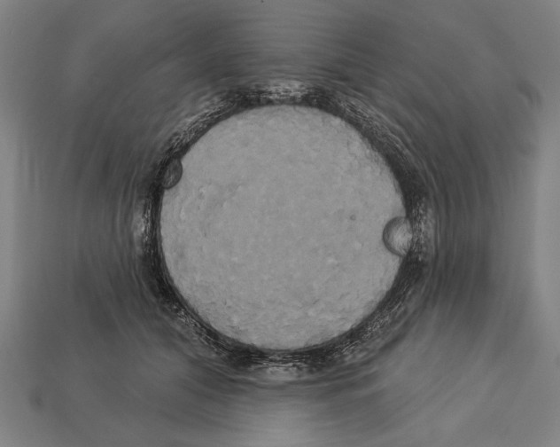 X0000113060608200909250910