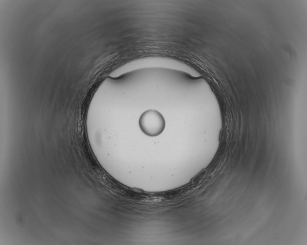 X0000113060609200909250910