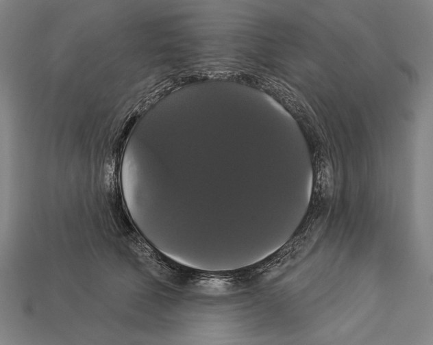 X0000113060610200909250910