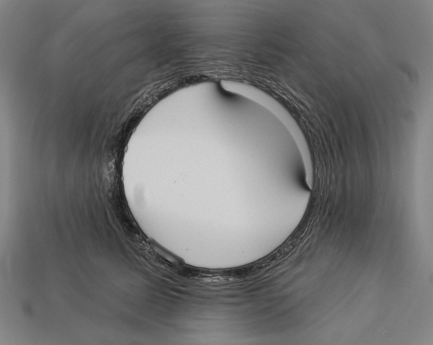 X0000113060611200909250910