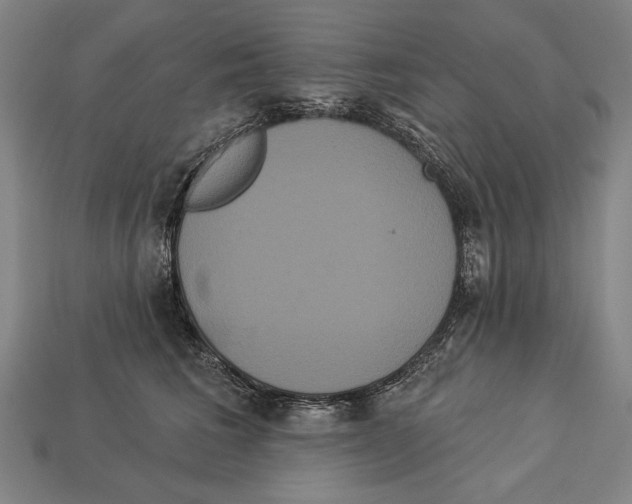 X0000113060613200909250910