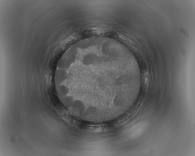 X0000113060615200909250910