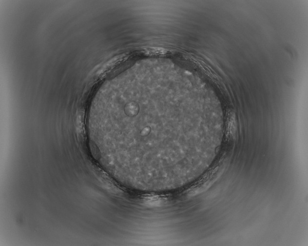 X0000113060616200909250910