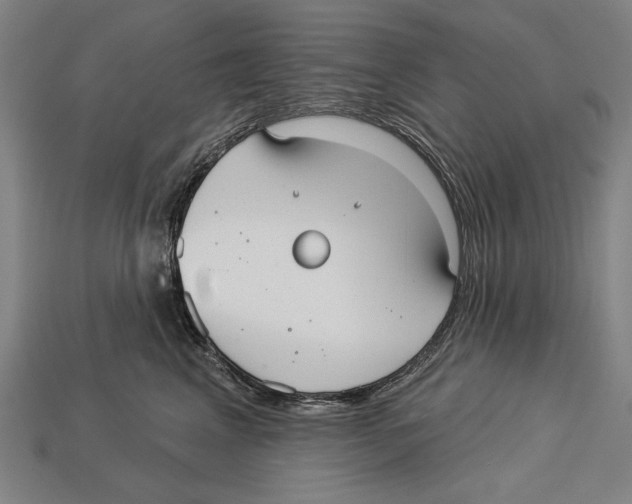 X0000113060617200909250910