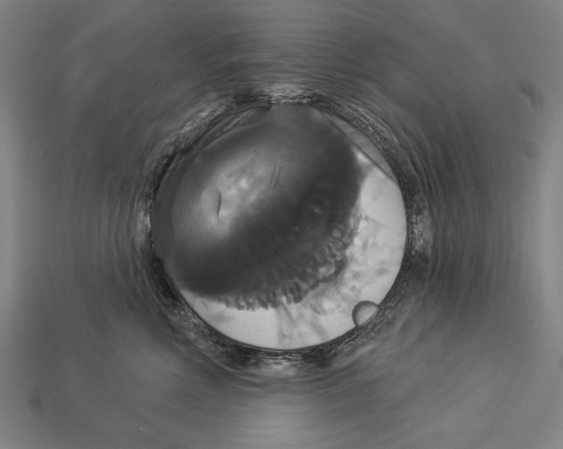 X0000113060618200909250910