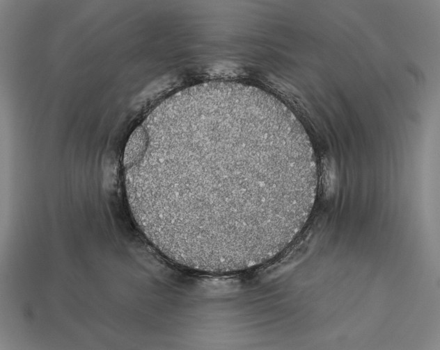 X0000113060619200909250910