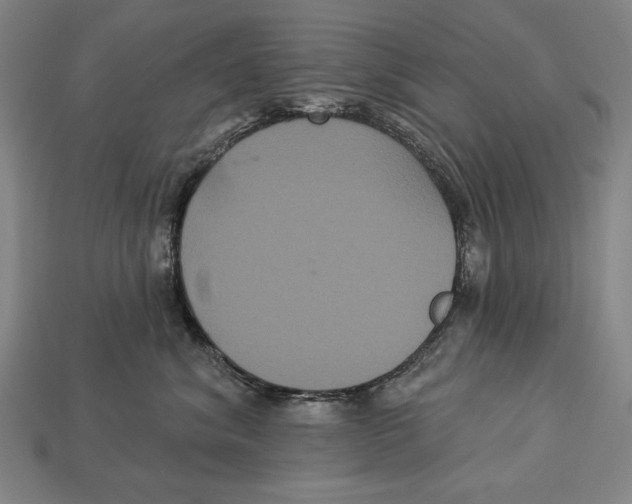 X0000113060620200909250910