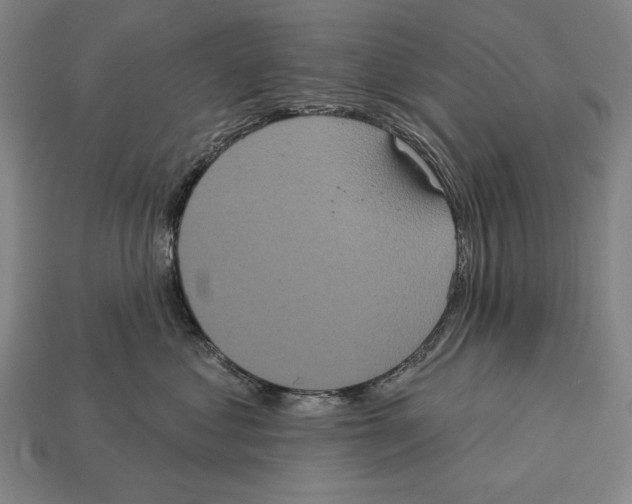 X0000113060621200909250910