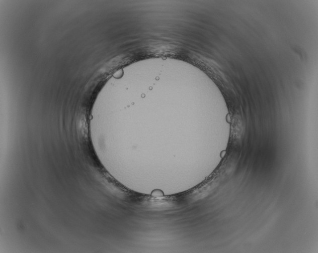 X0000113060622200909250910