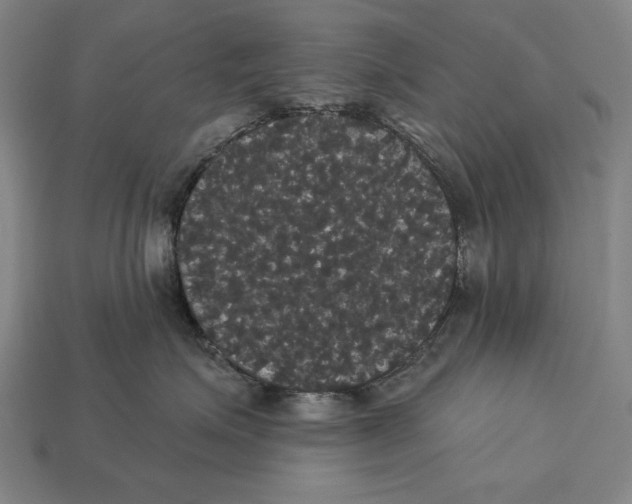 X0000113060623200909250910