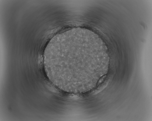 X0000113060624200909250910