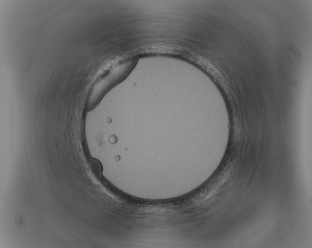 X0000113060625200909250909