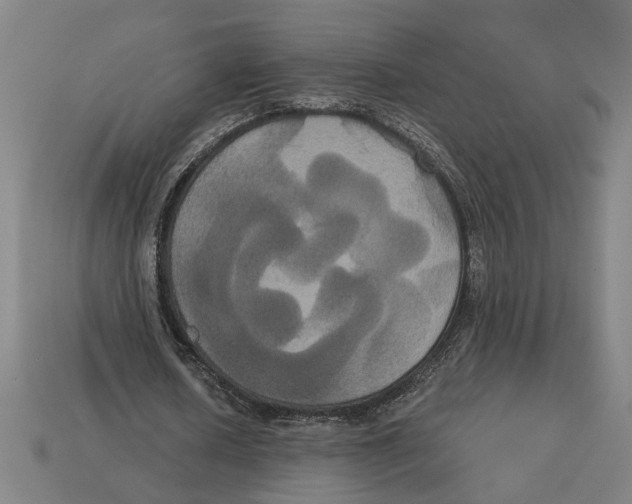 X0000113060626200909250909