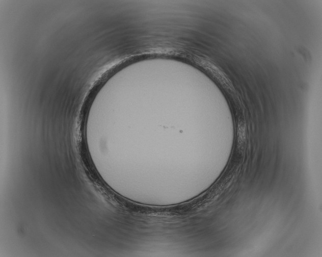 X0000113060628200909250909