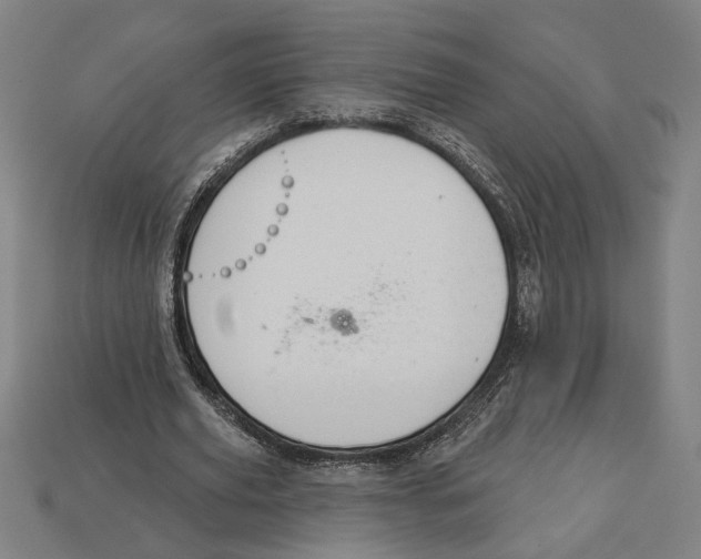 X0000113060629200909250909