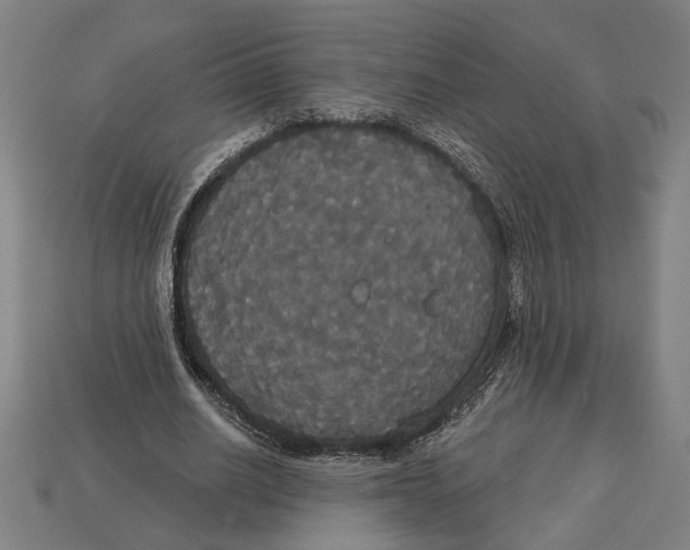 X0000113060630200909250909