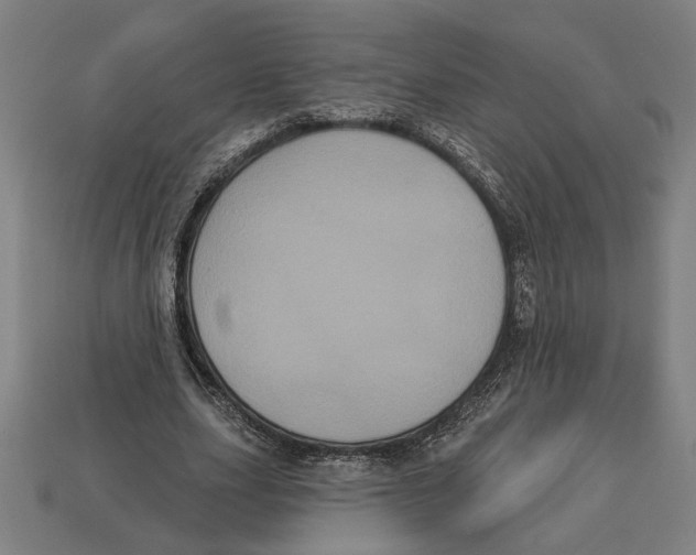 X0000113060631200909250909