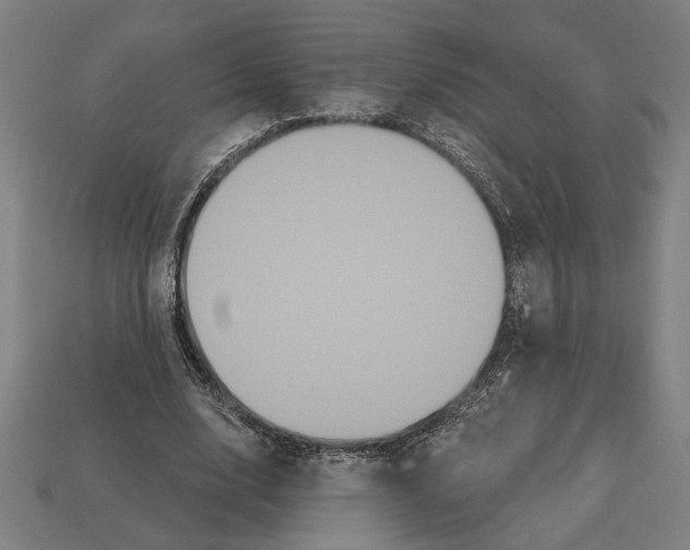 X0000113060632200909250909