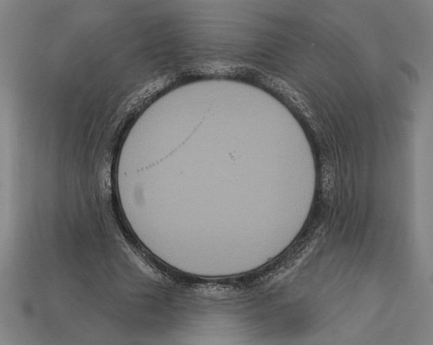 X0000113060633200909250909