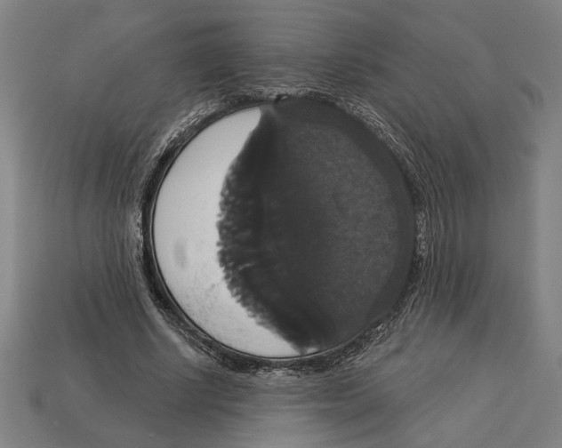 X0000113060634200909250909