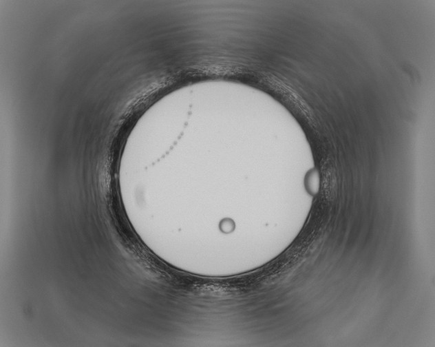 X0000113060635200909250909