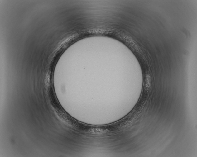 X0000113060636200909250909