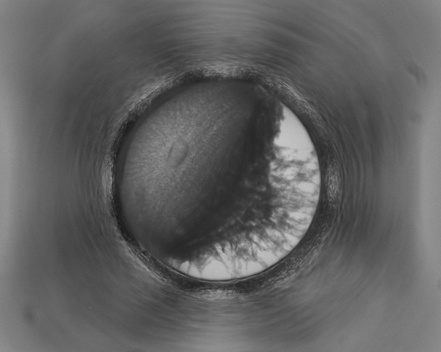 X0000113060637200909250909