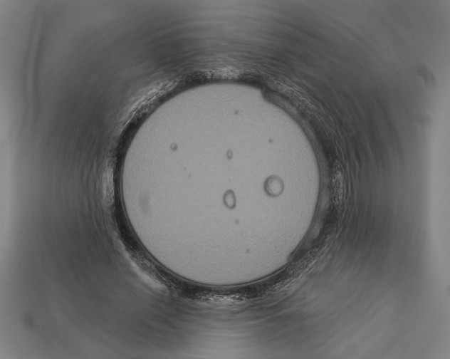 X0000113060638200909250909