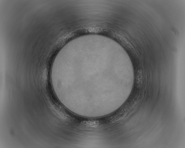 X0000113060639200909250909