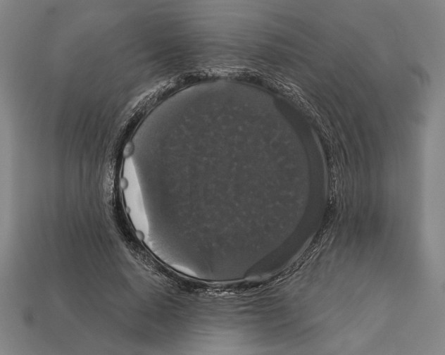 X0000113060640200909250909