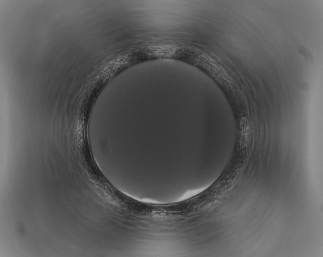 X0000113060641200909250910