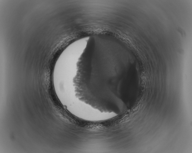 X0000113060642200909250910