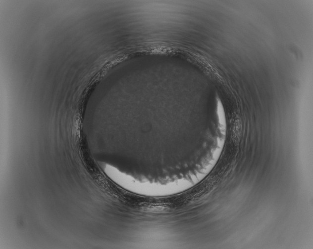 X0000113060643200909250910