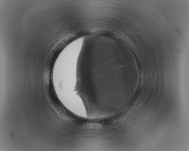 X0000113060644200909250910