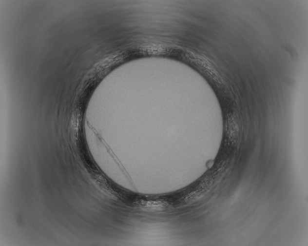 X0000113060645200909250910