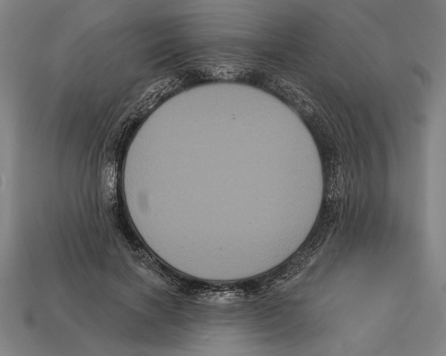 X0000113060646200909250910