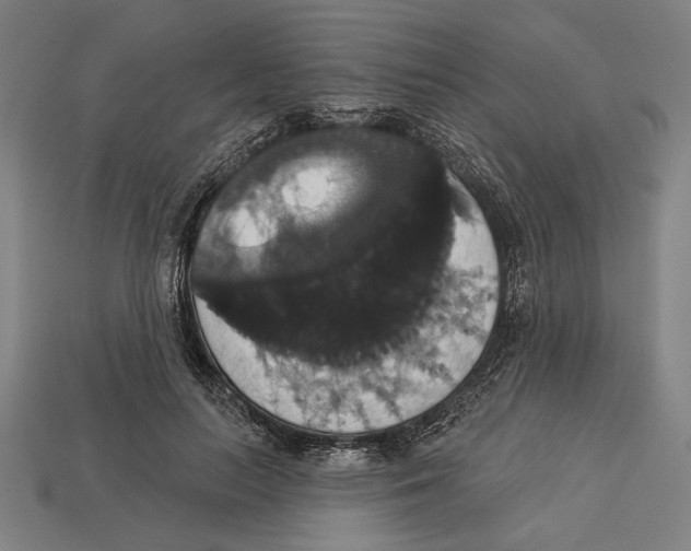 X0000113060647200909250910