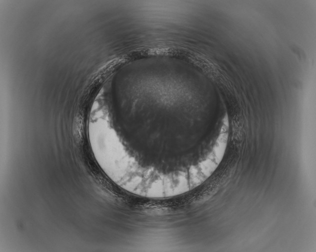 X0000113060648200909250910