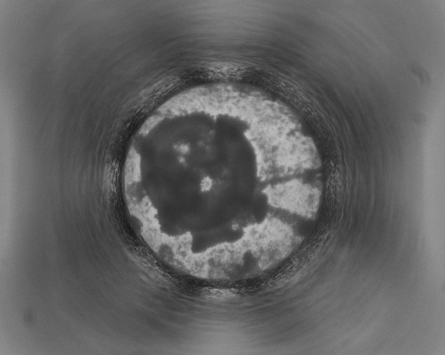 X0000113060649200909250910