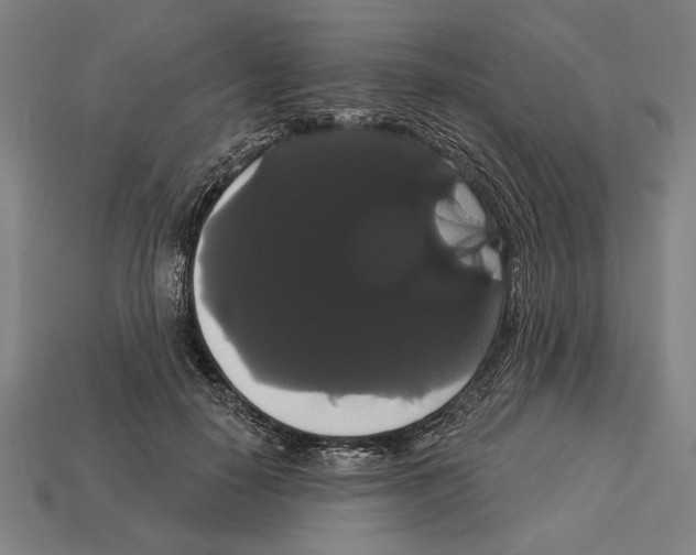 X0000113060650200909250910