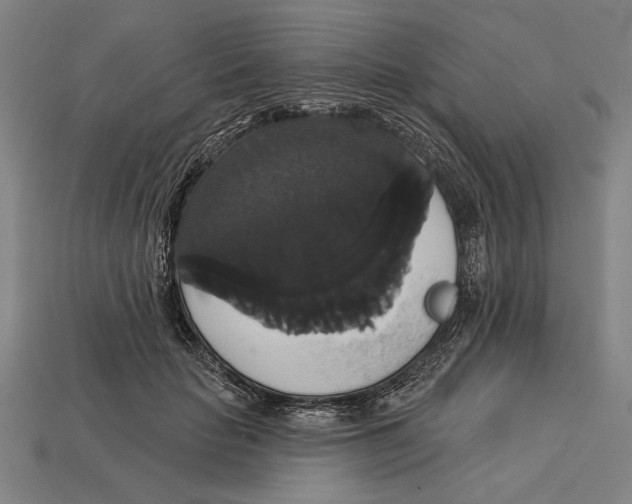 X0000113060653200909250910