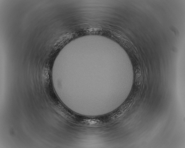 X0000113060654200909250910