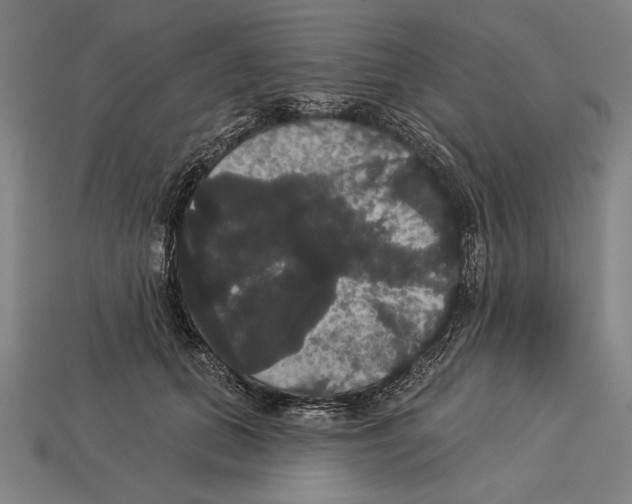 X0000113060655200909250910