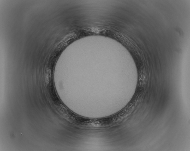 X0000113060656200909250910