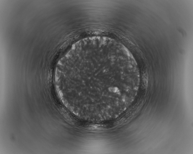 X0000113060657200909250910