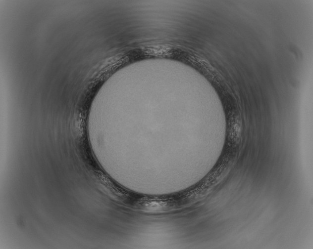 X0000113060658200909250910