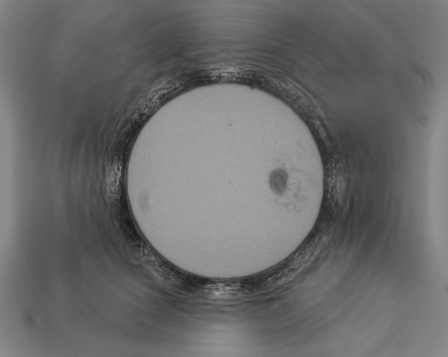 X0000113060660200909250910